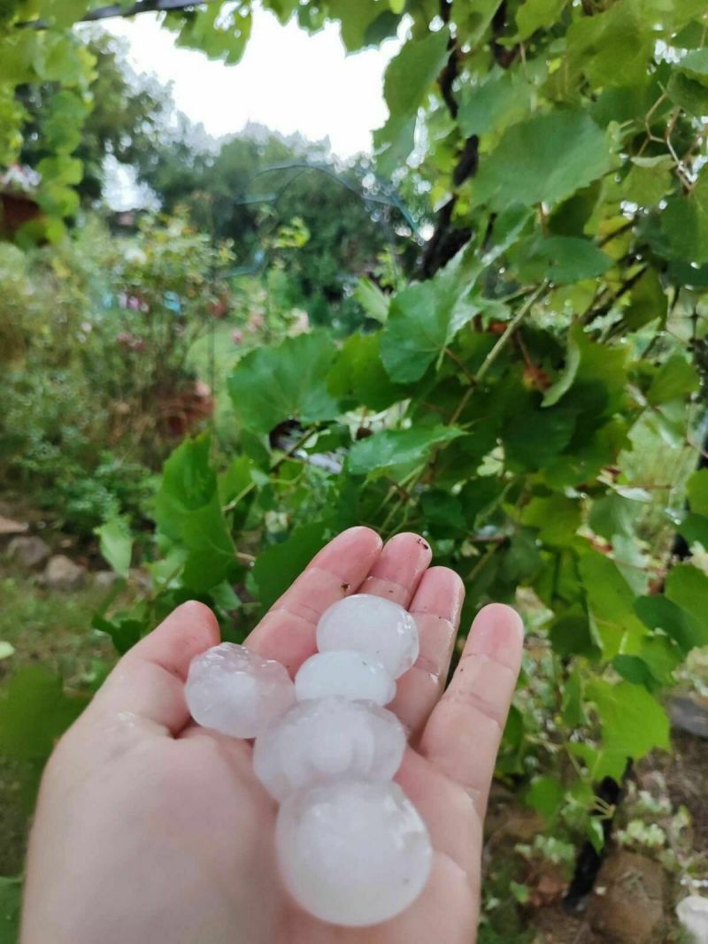 Архивна снимка Архивна снимка