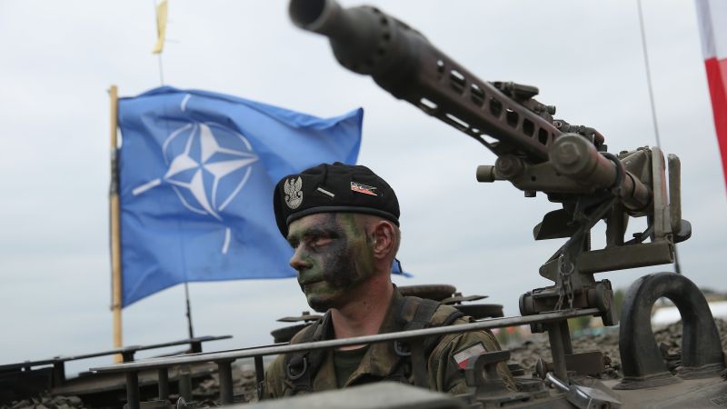 боец от НАТО