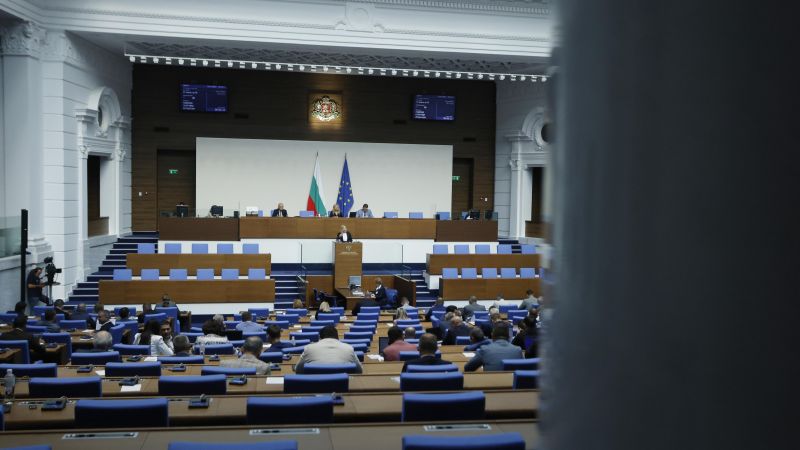 Пленарната зала. БГНЕС/Боян Топчийски