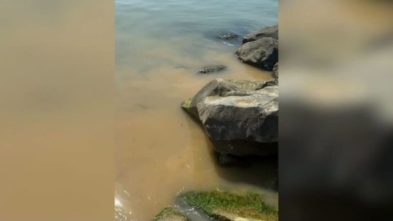 фекални води