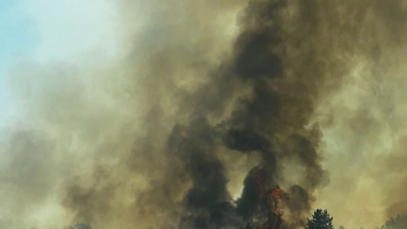Пожар до магистрала Тракия